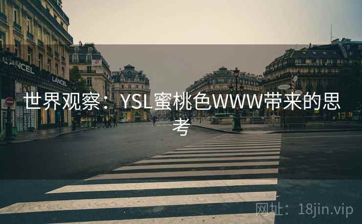 世界观察：YSL蜜桃色WWW带来的思考